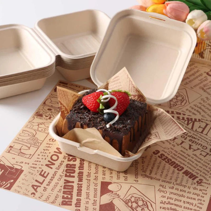 Disposable Fibre Bento Containers, Pack of 10