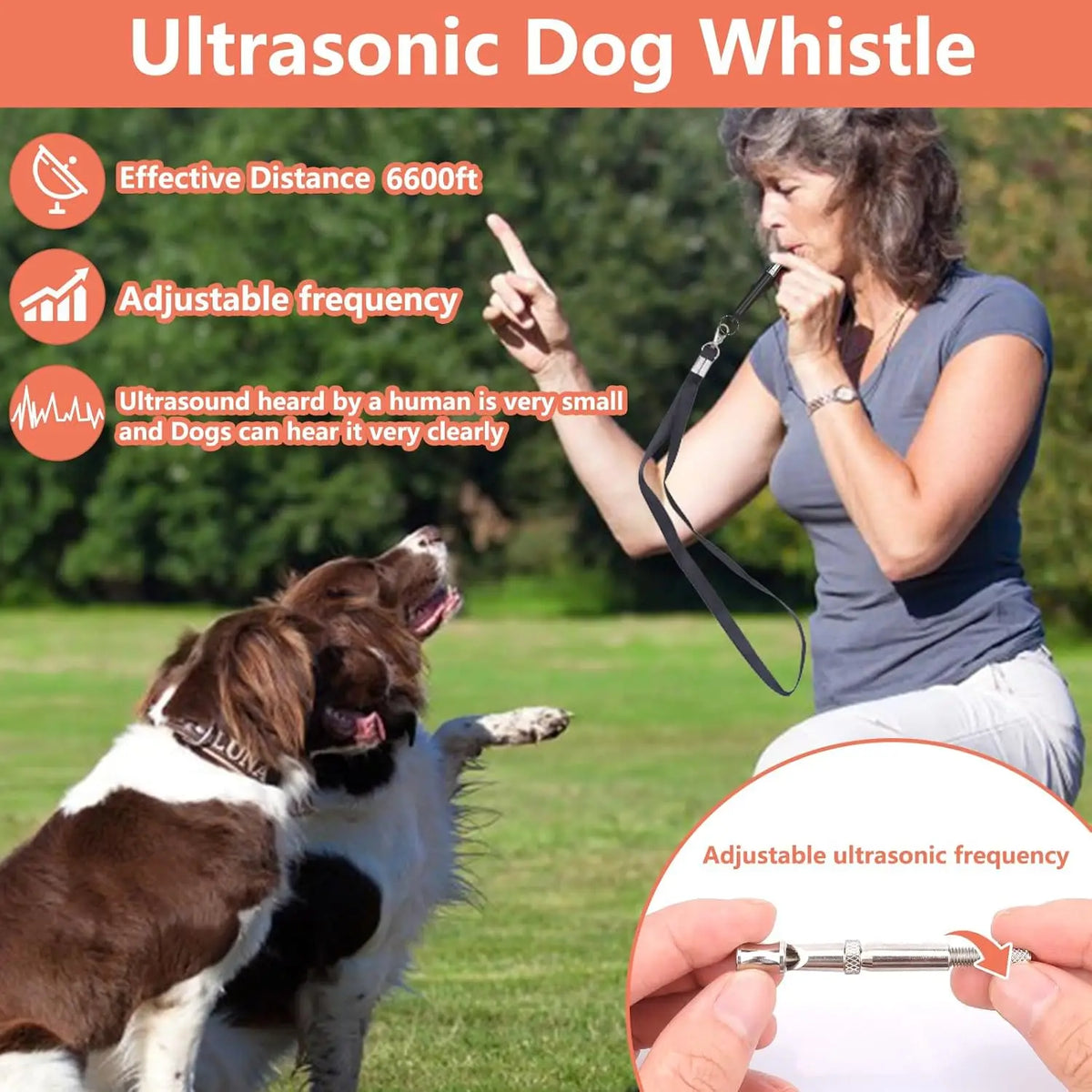 Dog Training Treat Pouch & Accessory Kit