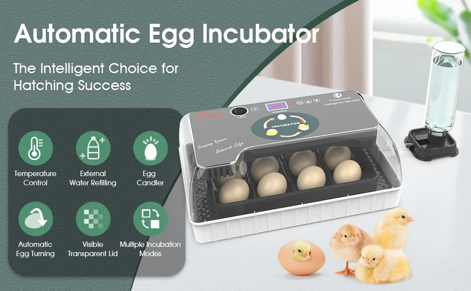 12 Egg Incubator with Auto Turning, Temperature Control & Candler