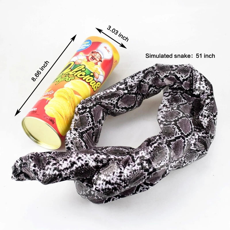Prank Snake Toy in Potato Chip Can 🐍 