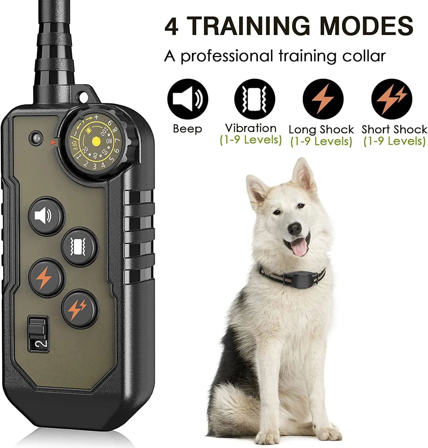 Remote Control Dog Training Collar with Waterproof Receiver