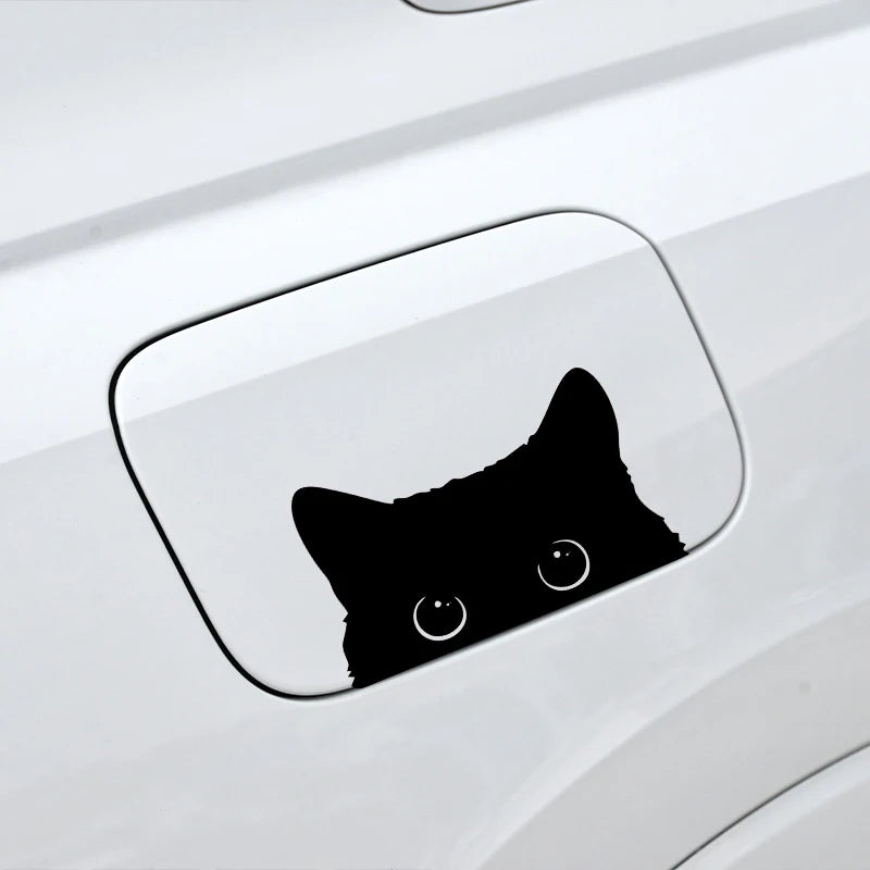 1 Stück heißer Autoaufkleber Zubehör „Arme Katze stiehlt mit großen Augen“ Uhr Vinyl Auto Styling Abdeckung wasserdichtes PVC