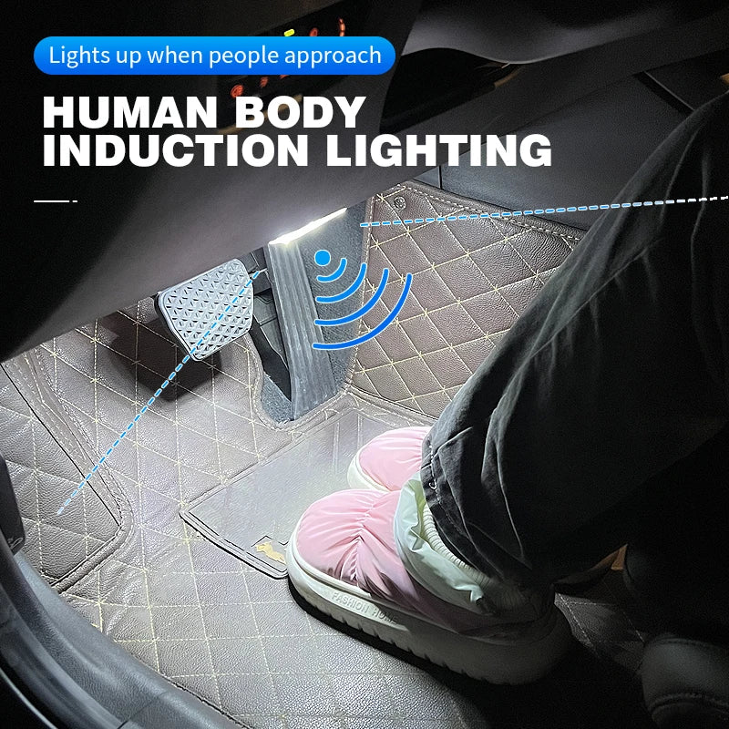 USB Rechargeable Sensor Light with Trigger Options