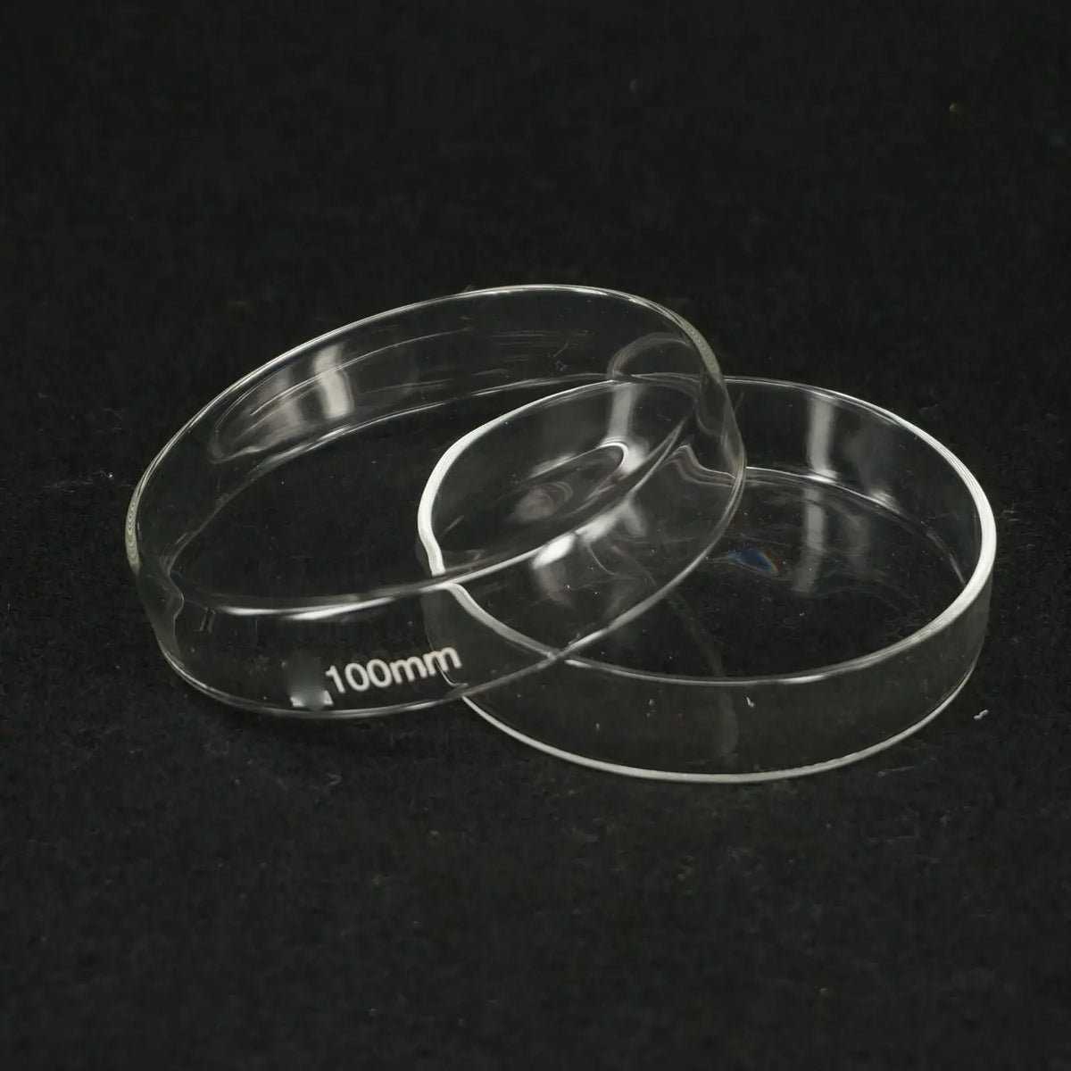 Borosilicate Glass Petri Dish with Lid – Nominal 100 mm