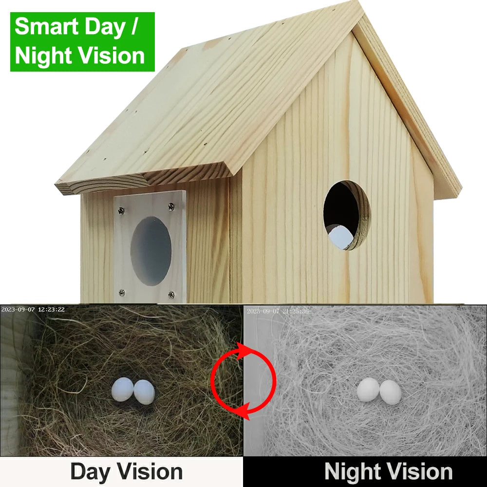 Smart WiFi Bird House Camera 4MP HD with Night Vision & App