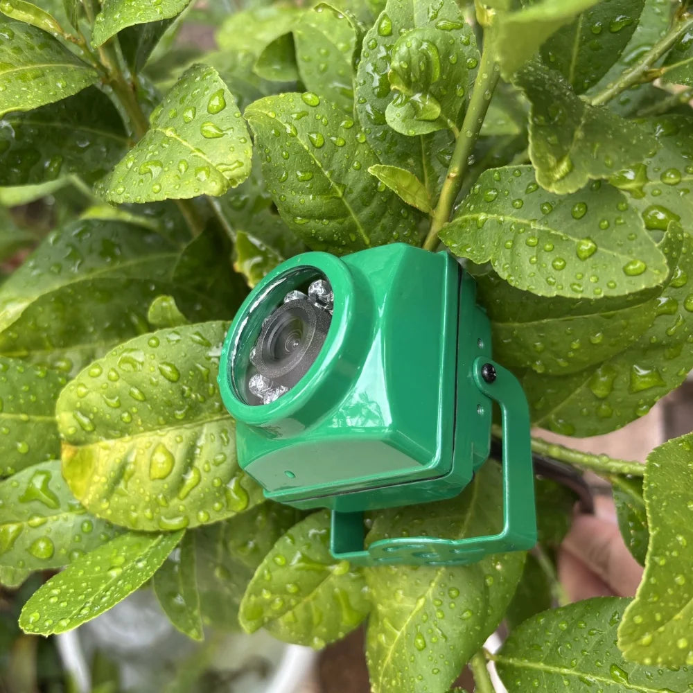 Mini WiFi Birdcage Camera with Night Vision