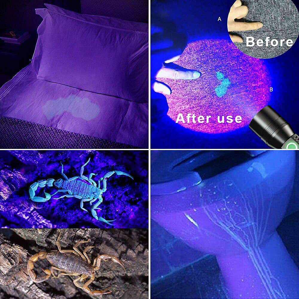 Rechargeable LED and UV Flashlight with COB Light