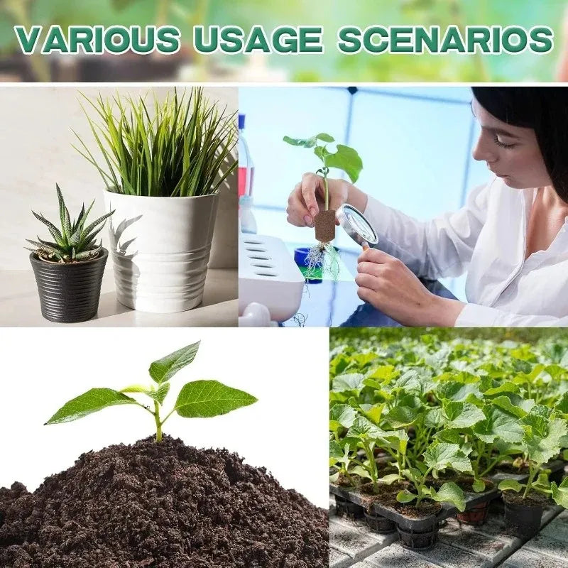 Seed-Starting Grow Sponge Refills, 20 or 40 Pieces