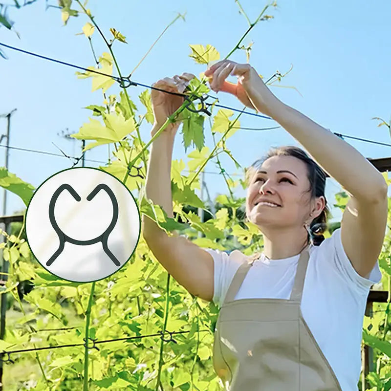 Clipes de suporte para plantas, 100 ou 200 unidades, em três tamanhos