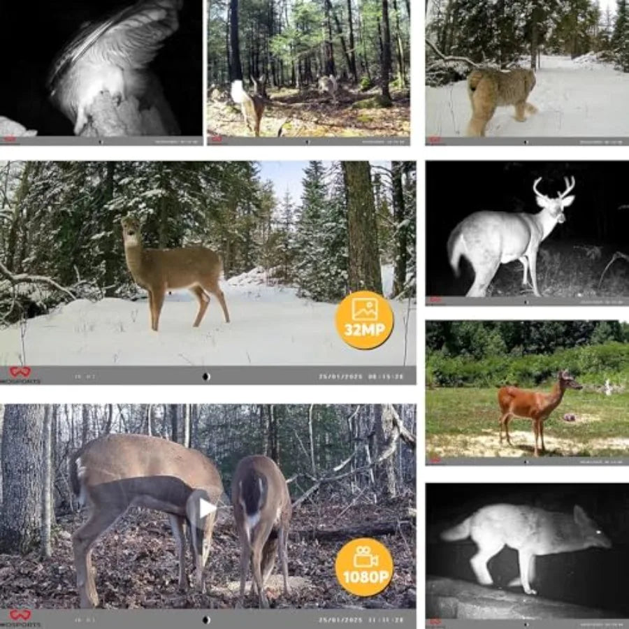 Mini Trail Camera 2 Pack with 32MP Photos and 1080P Video
