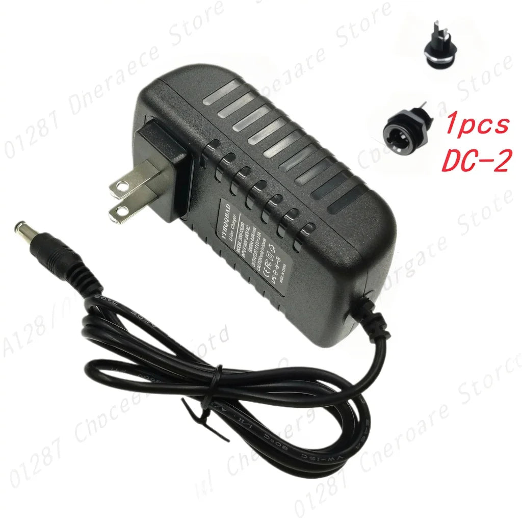 16.8V 2A Li-Ion Charger, Plug and Connector Options