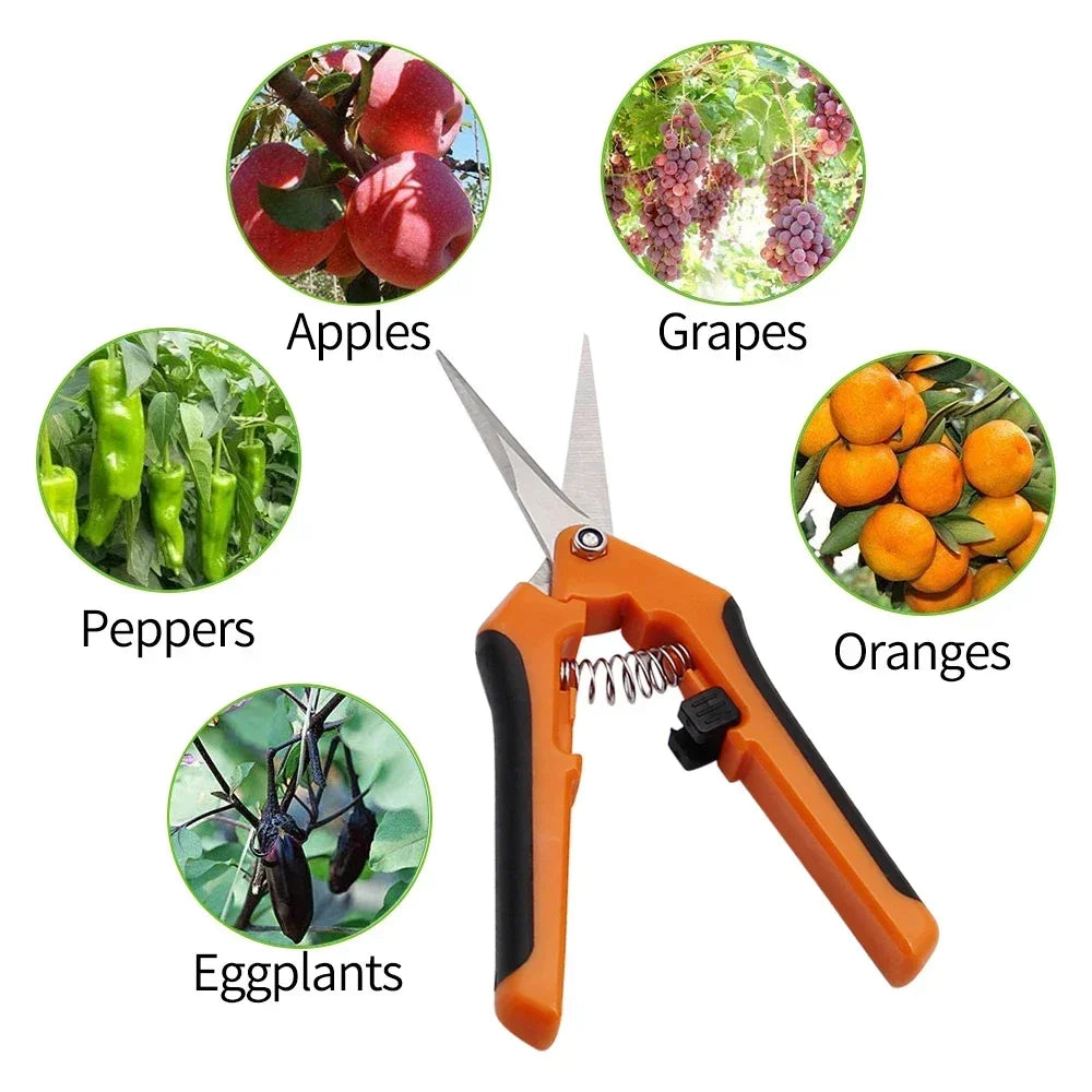 Small Garden Pruning Shears, Straight or Angled