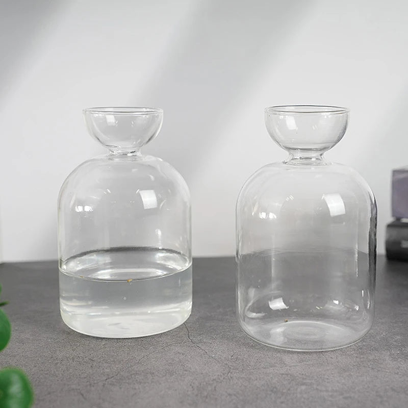 Glass Avocado Seed Starter Vase