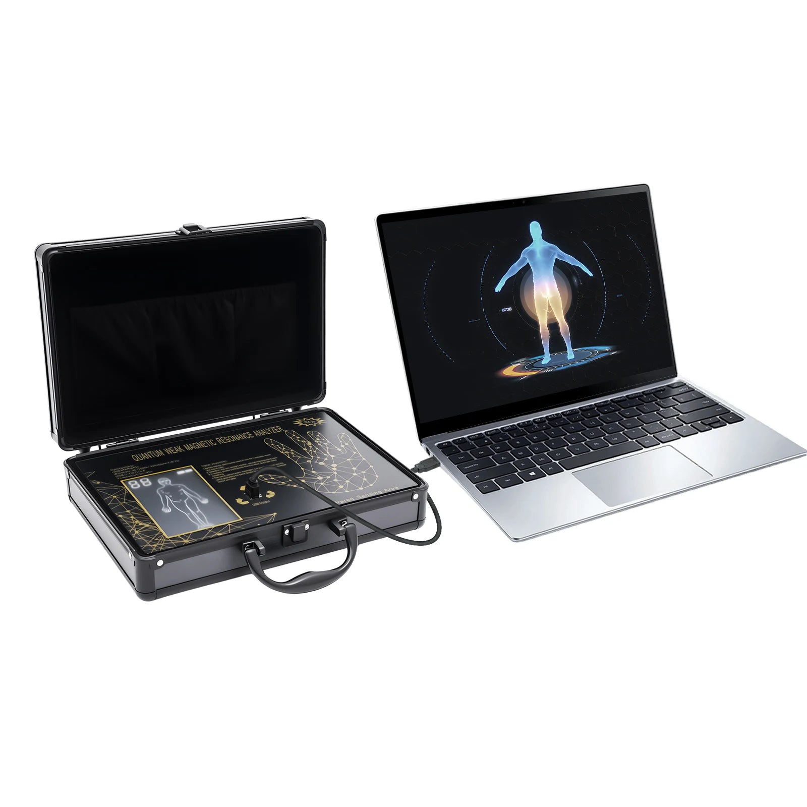 Magnetic Body Health Analysis Assistant