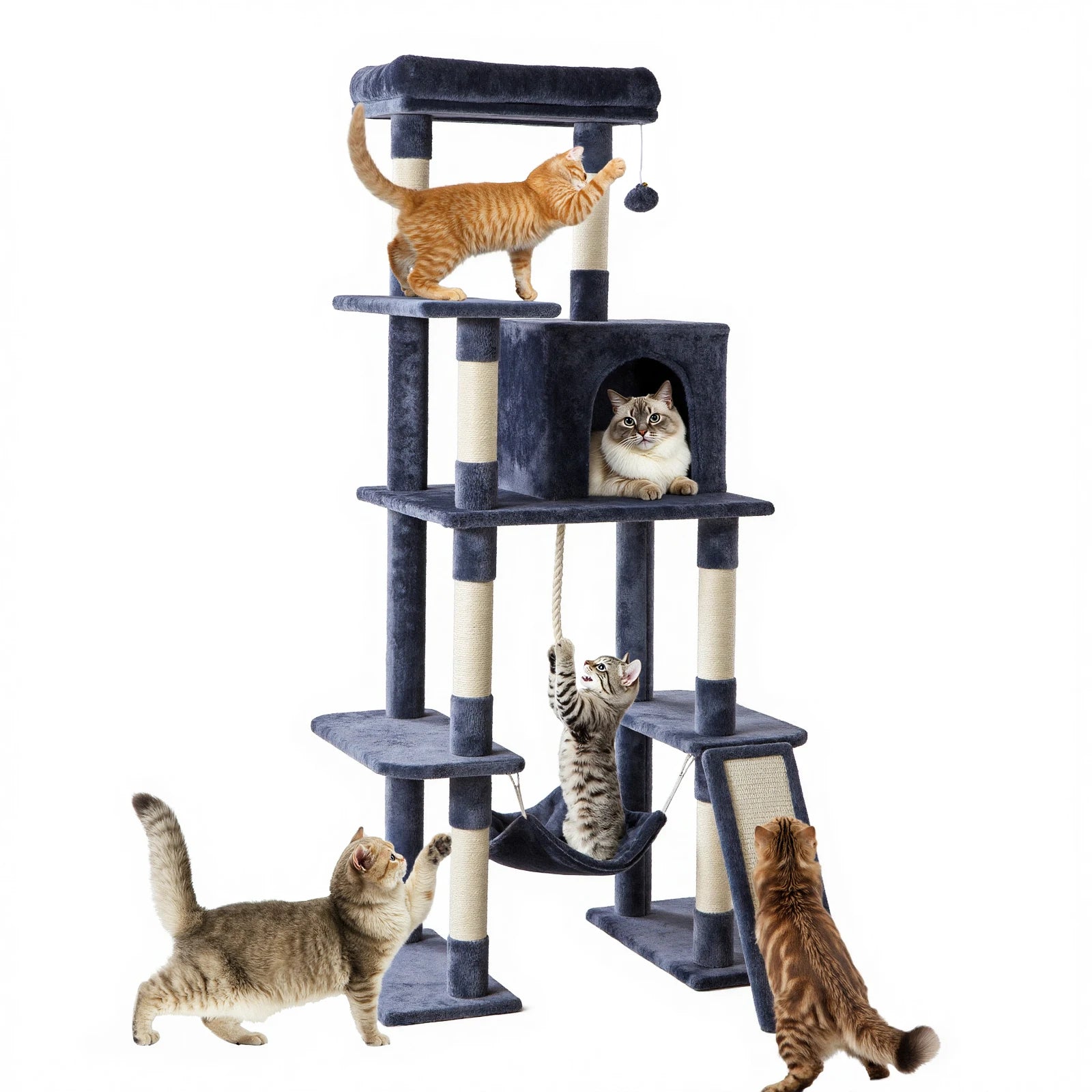Arbre à chat multi-niveaux de 63" avec condo, hamac et poteaux en sisal