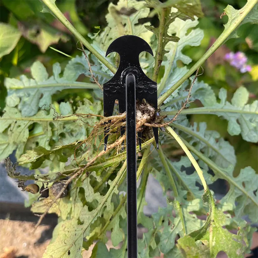 Garden Hand Hoe, 30–50 cm Options