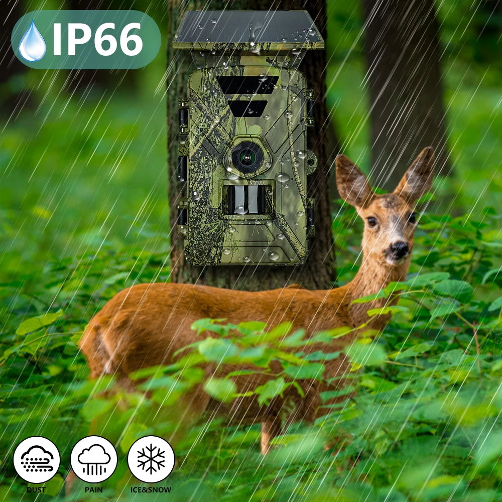 Solar Powered Trail Camera with 8K Video and 60MP Photos