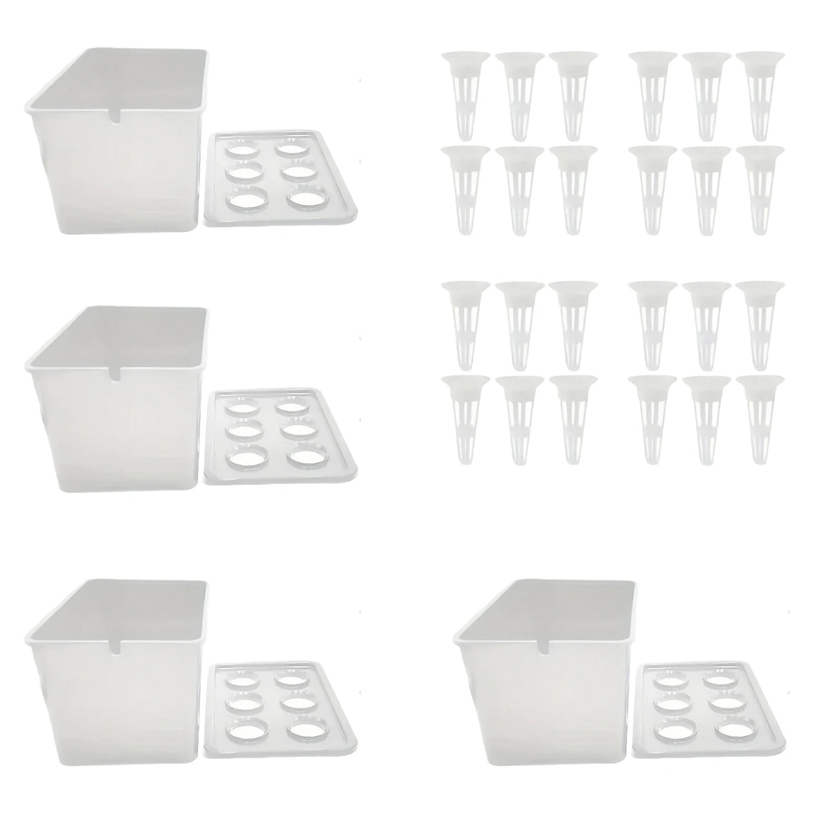 Six-Cup Hydroponic Seedling Box