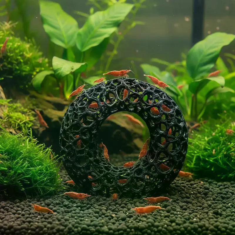 Ring Shaped Aquarium Shrimp Shelter, 8 cm
