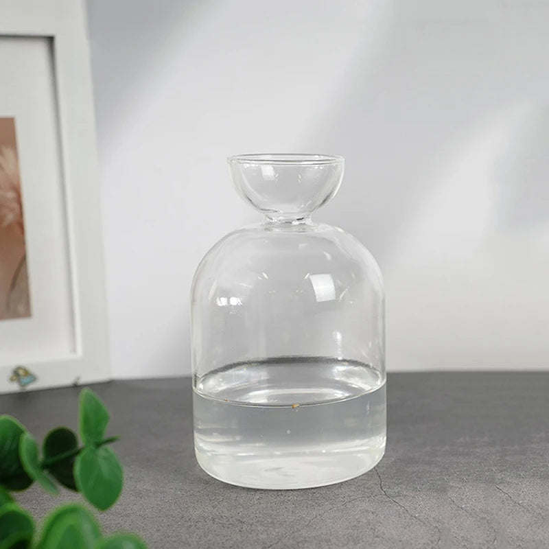 Glass Avocado Seed Starter Vase