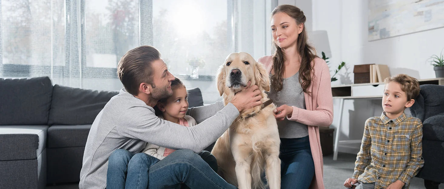 Rasoio Elettrico Ricaricabile Sejoy per Uomo