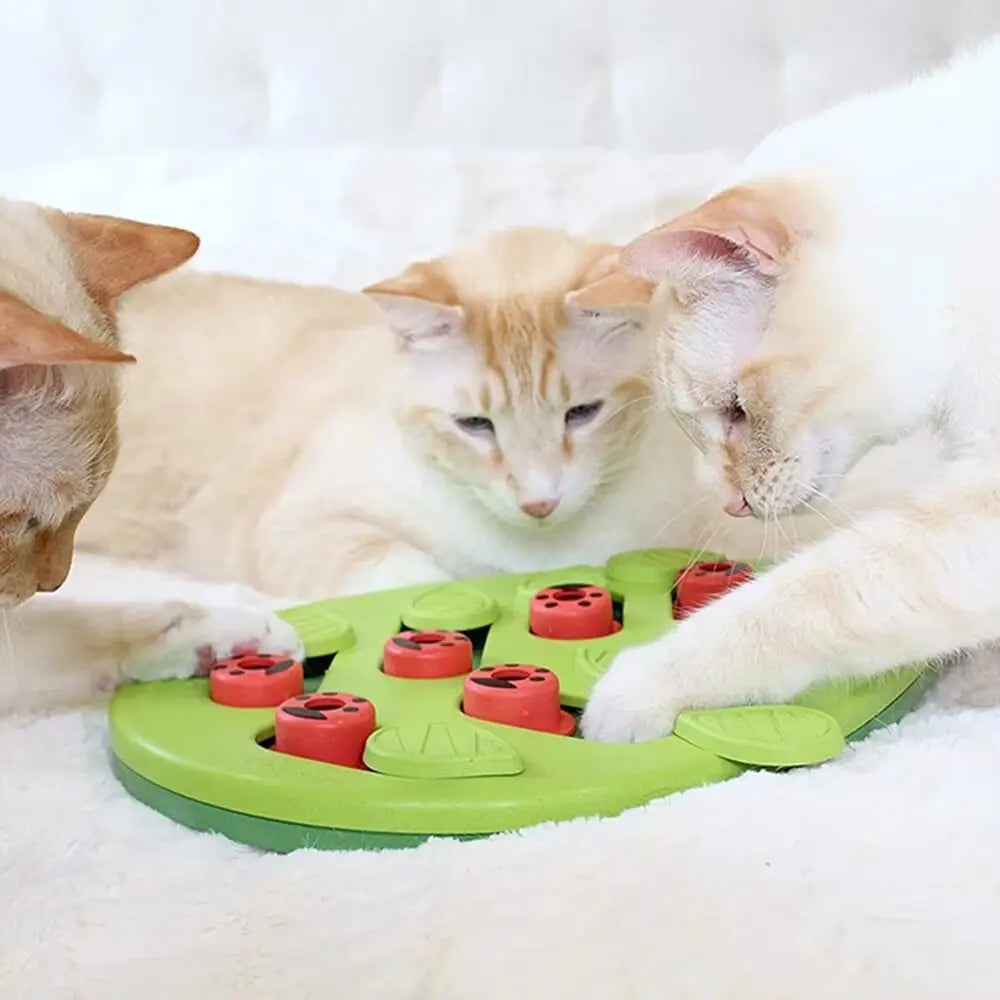 Cat Treat Puzzle with Moving Covers