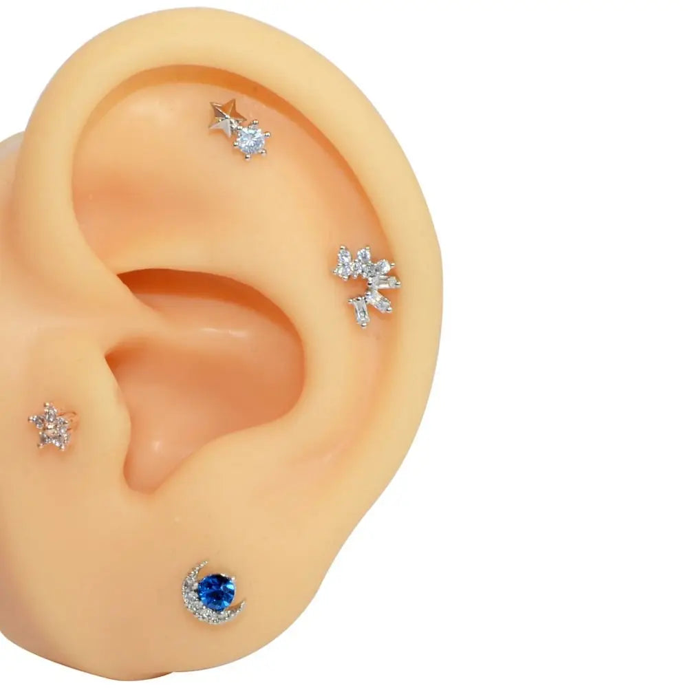 Silicone Ear Model for Teaching and Earring Display
