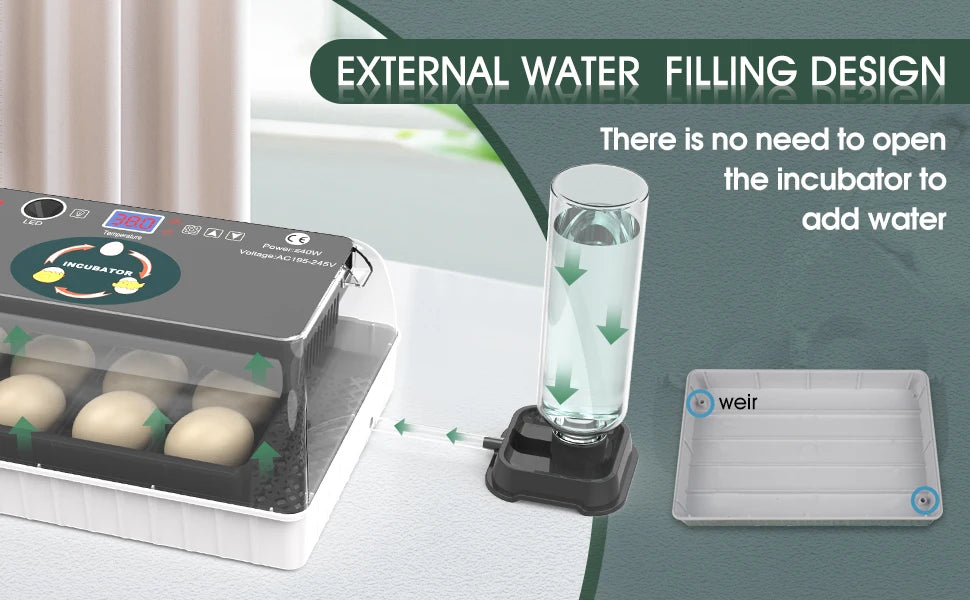 12 Egg Incubator with Auto Turning, Temperature Control & Candler
