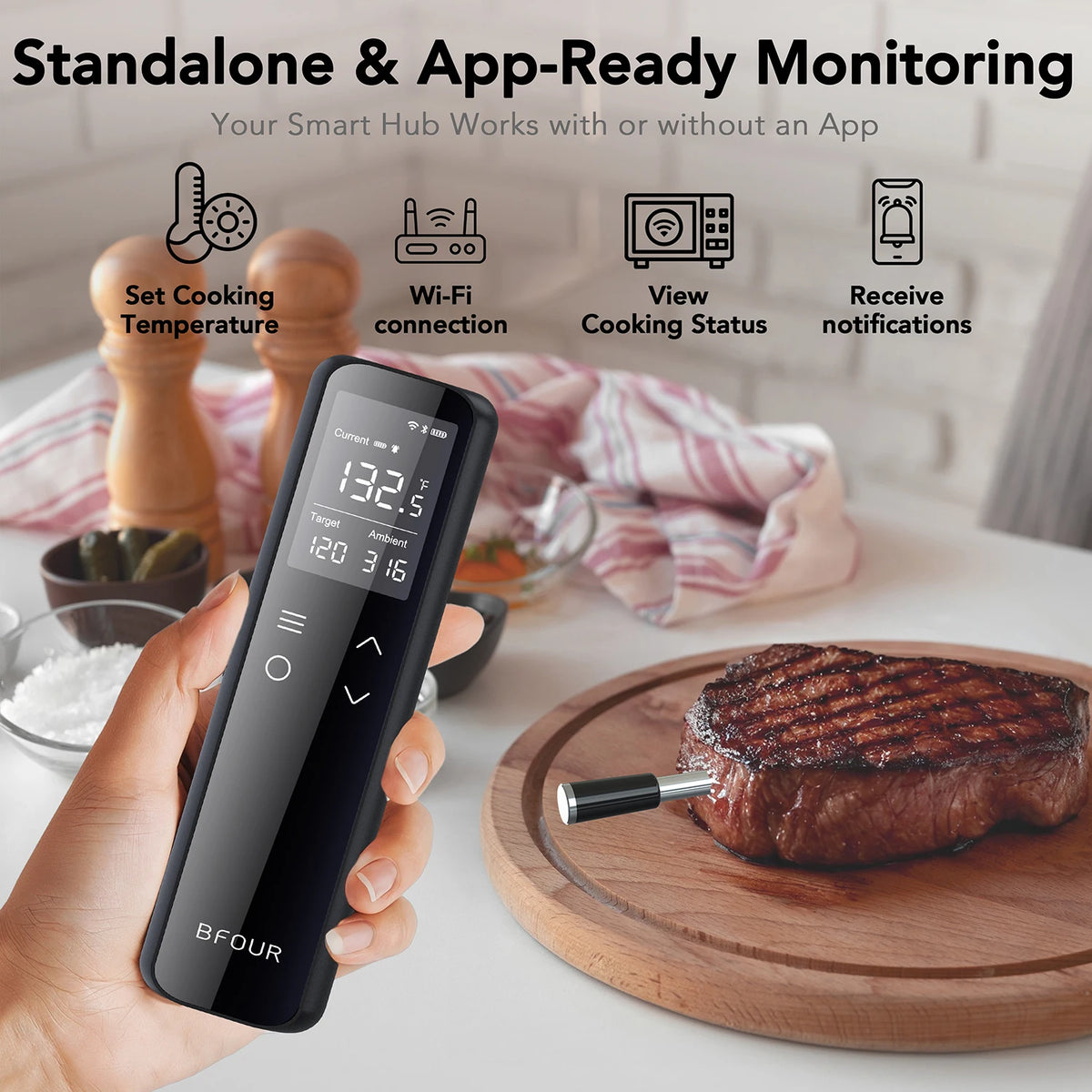 Wireless Digital Meat Thermometer with WiFi and Bluetooth