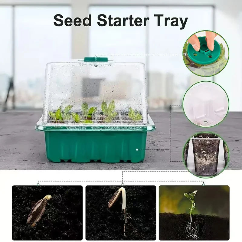 Seed Starter Trays with Grow Lights, 2 Pack