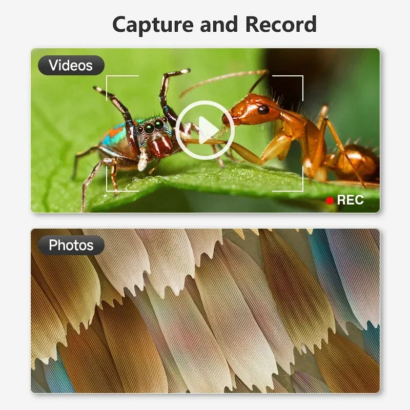 1600X USB Microscope with 1080P HD and 8 LEDs