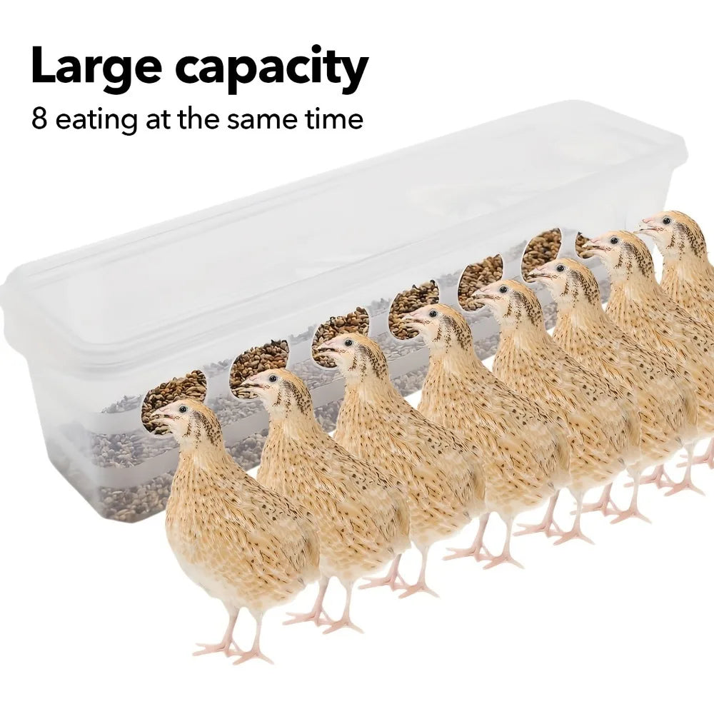 8-Port Automatic Bird Feeder - Large Capacity Transparent Dispenser, Durable Indoor Outdoor Sturdy Plastic Wildlife Feeder
