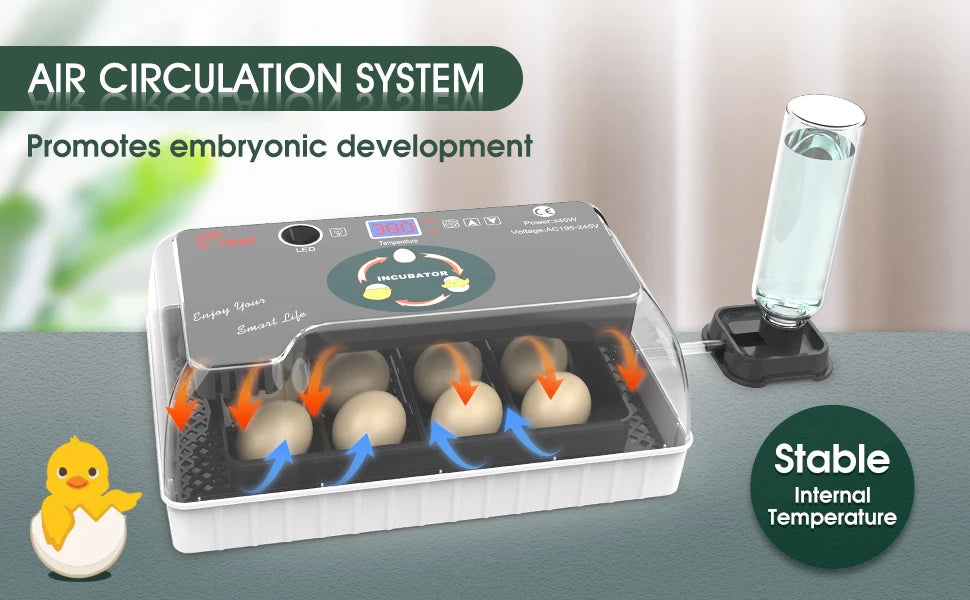 12 Egg Incubator with Auto Turning, Temperature Control & Candler