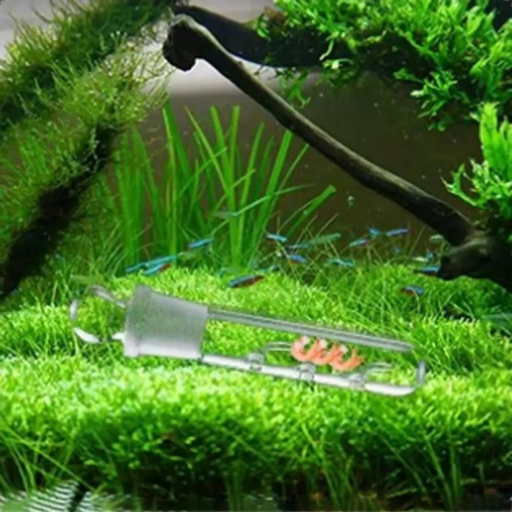 Trappola chiara per planaria d’acquario – Foro opzioni