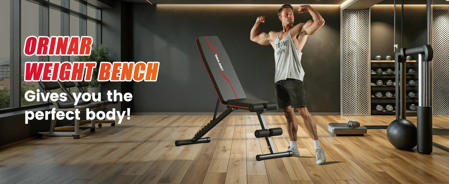 Adjustable Weight Bench for Full Body Home Gym Training