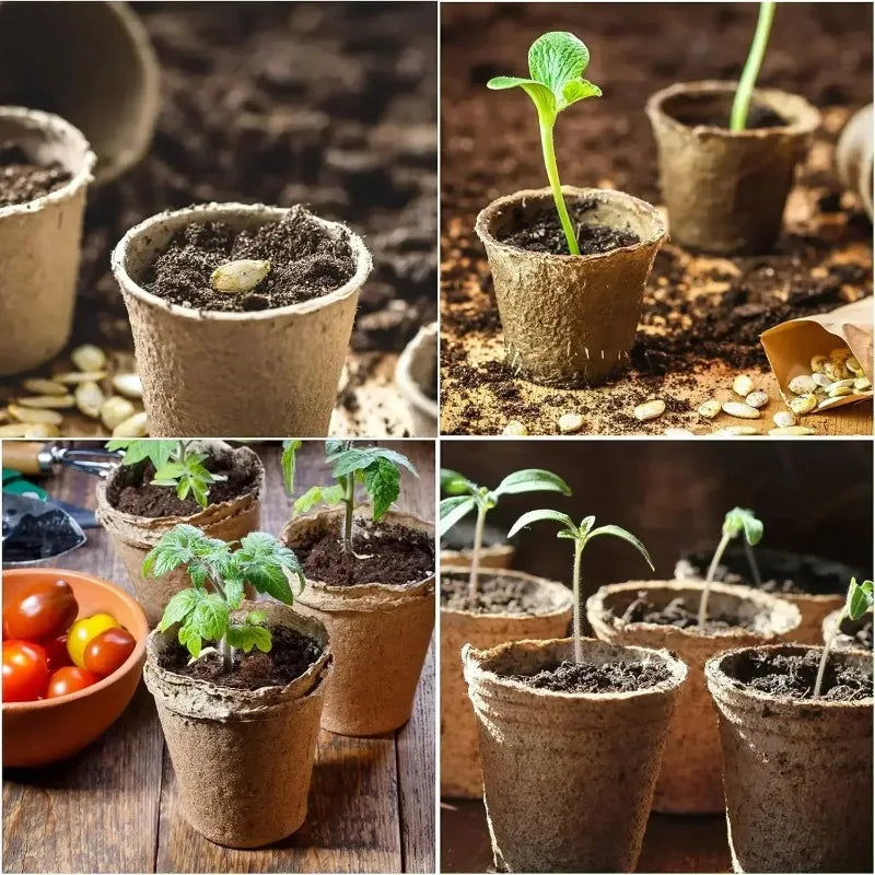 Pulp Seed-Starting Pots, 20–200-Piece Packs