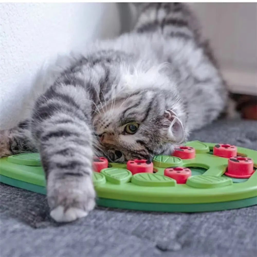 Cat Treat Puzzle with Moving Covers