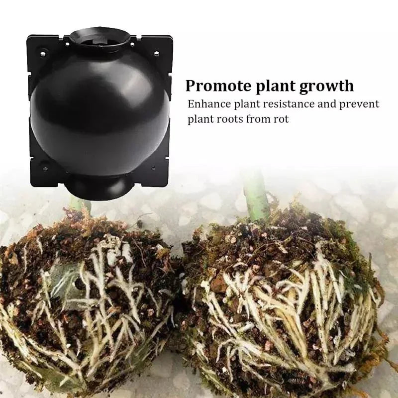Reusable Plant Root Growing Box for Easy Plant Propagation