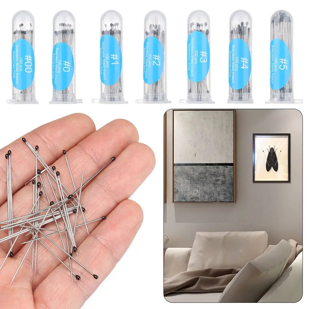 Stainless Steel Insect Specimen Pins - 100 Pieces