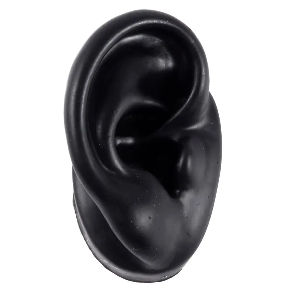 Silicone Ear Model for Teaching and Earring Display