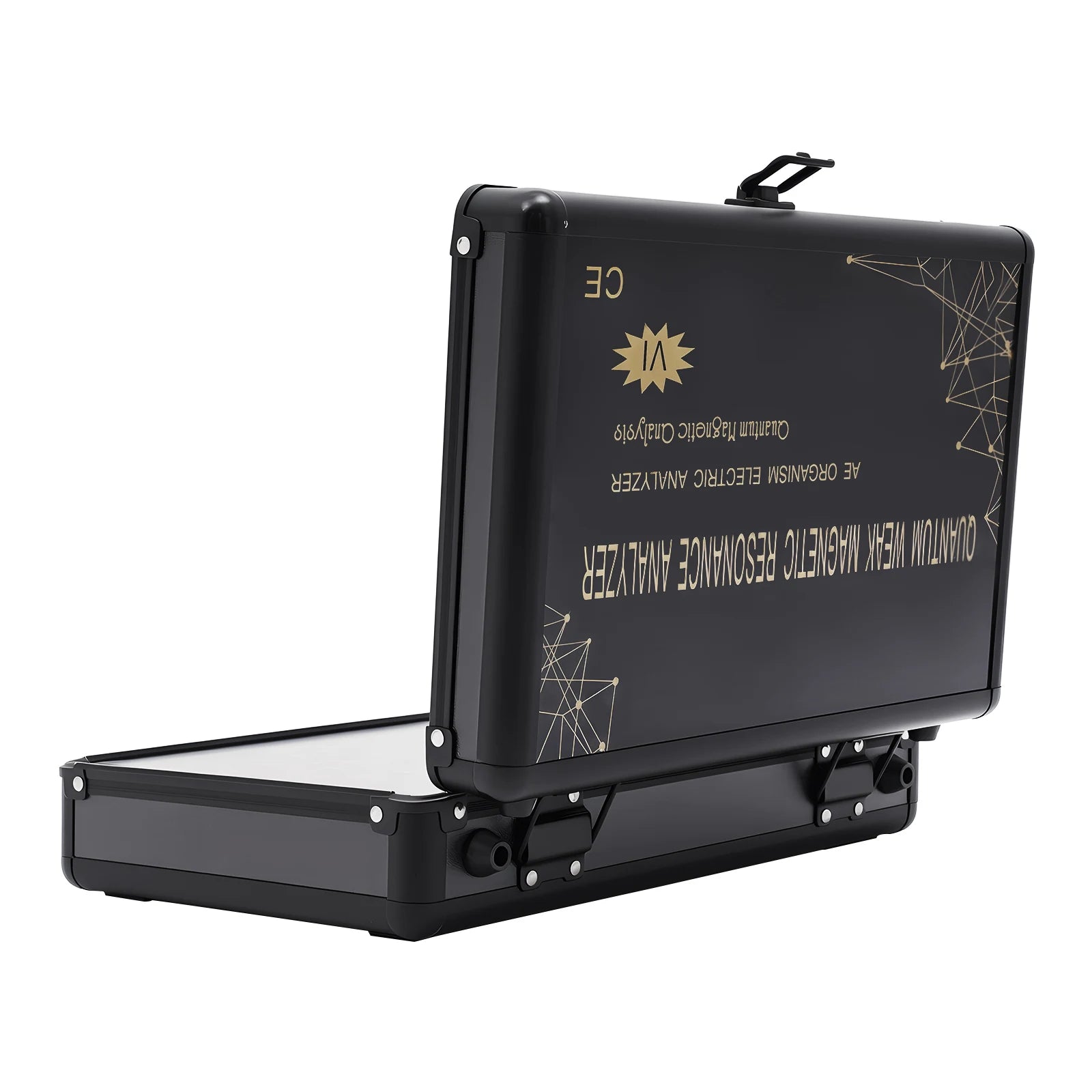 Magnetic Body Health Analysis Assistant