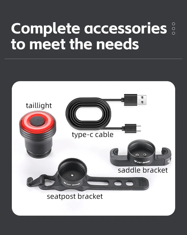 Smart Bicycle Tail Light — USB-C