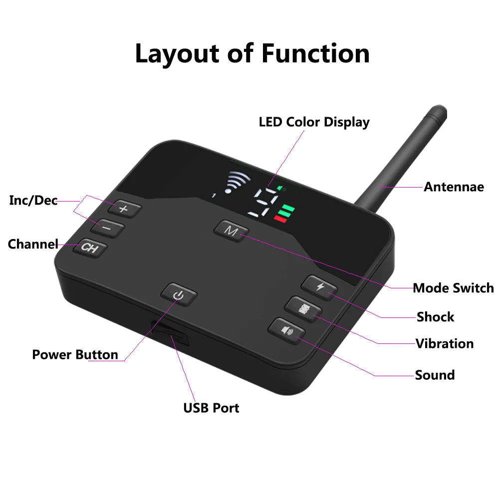 2-in-1 Wireless Dog Fence & Training Collar with Remote Control