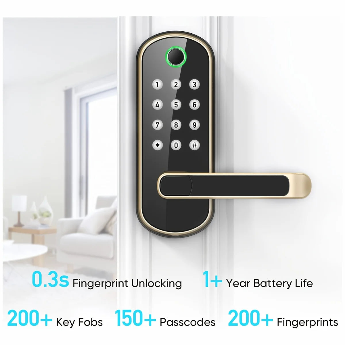 B05 Fingerprint and Keypad Door Lock