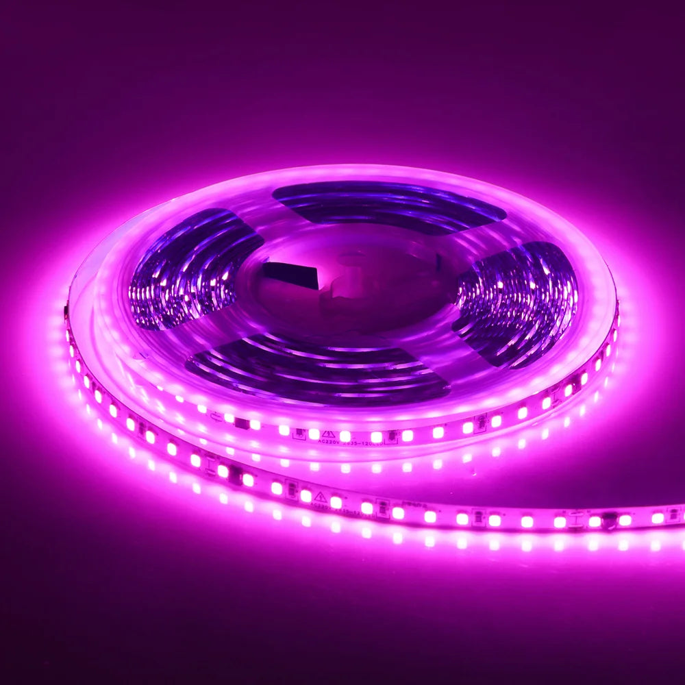 LED-list, 220-240 V, färg- och längdalternativ