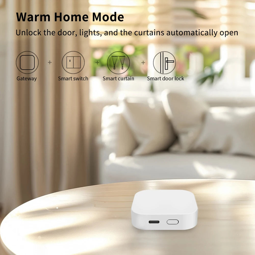 Gateway Tuya - Opzioni Zigbee e Bluetooth