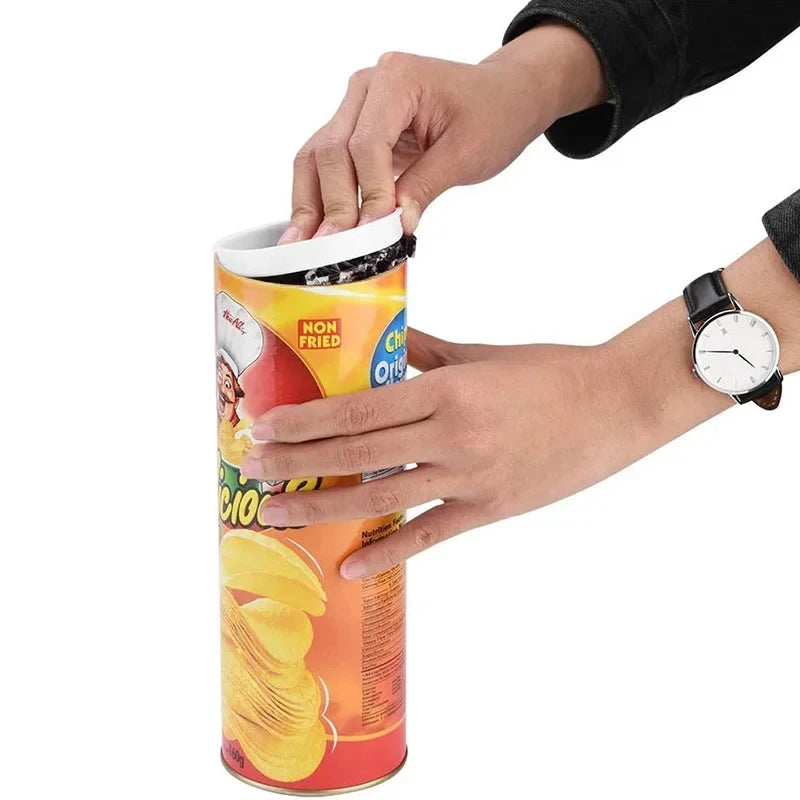 Prank Snake Toy in Potato Chip Can 🐍 