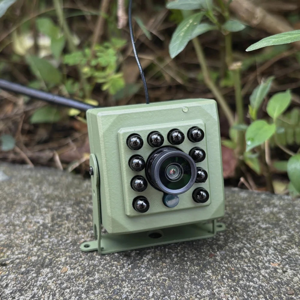 6MP 4MP Tuya Smart Life Bird Watching Camera IR CUT Wireless Indoor Wildr Wifi Birdcage Camera POE IPC Onvif Night Vision Nest