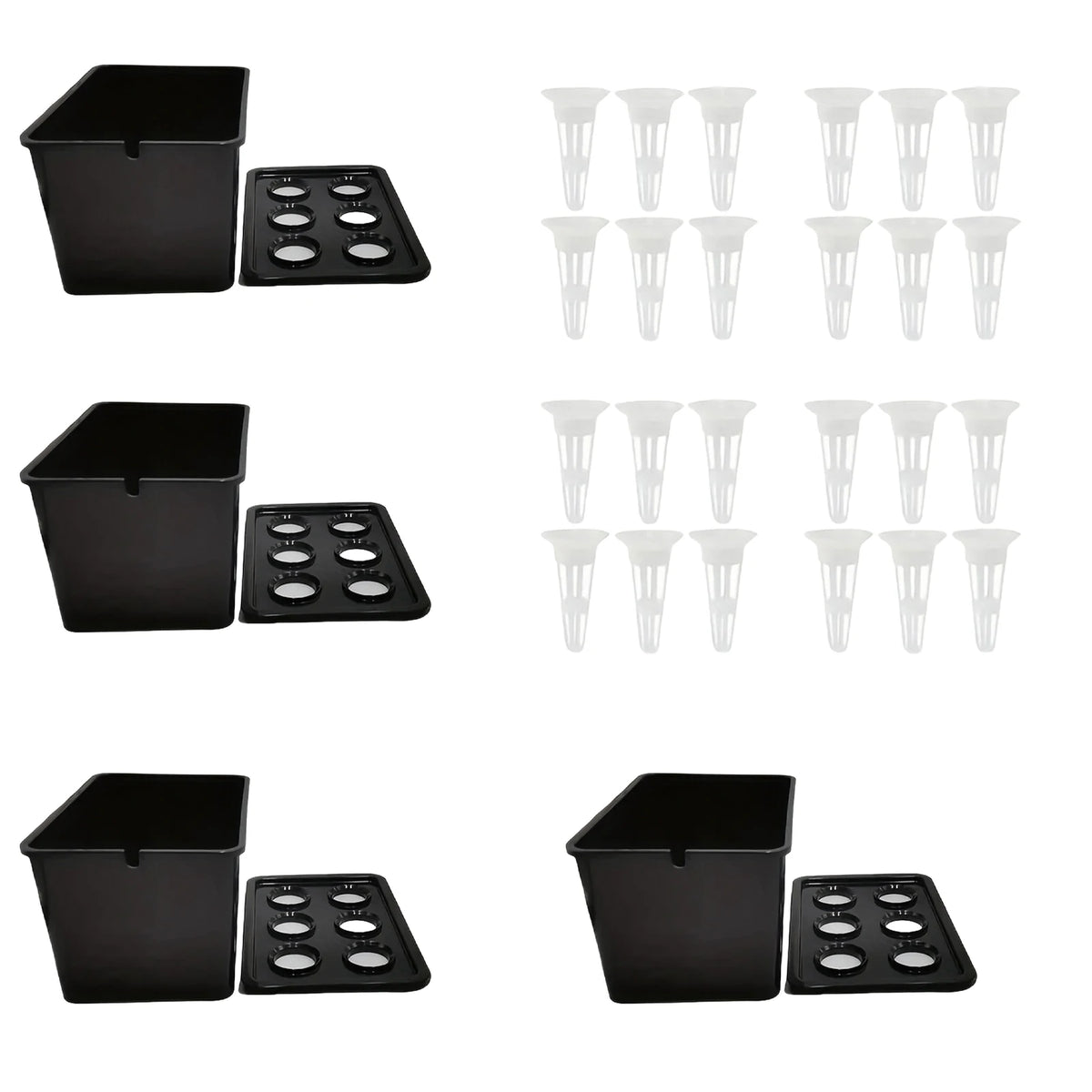 Six-Cup Hydroponic Seedling Box
