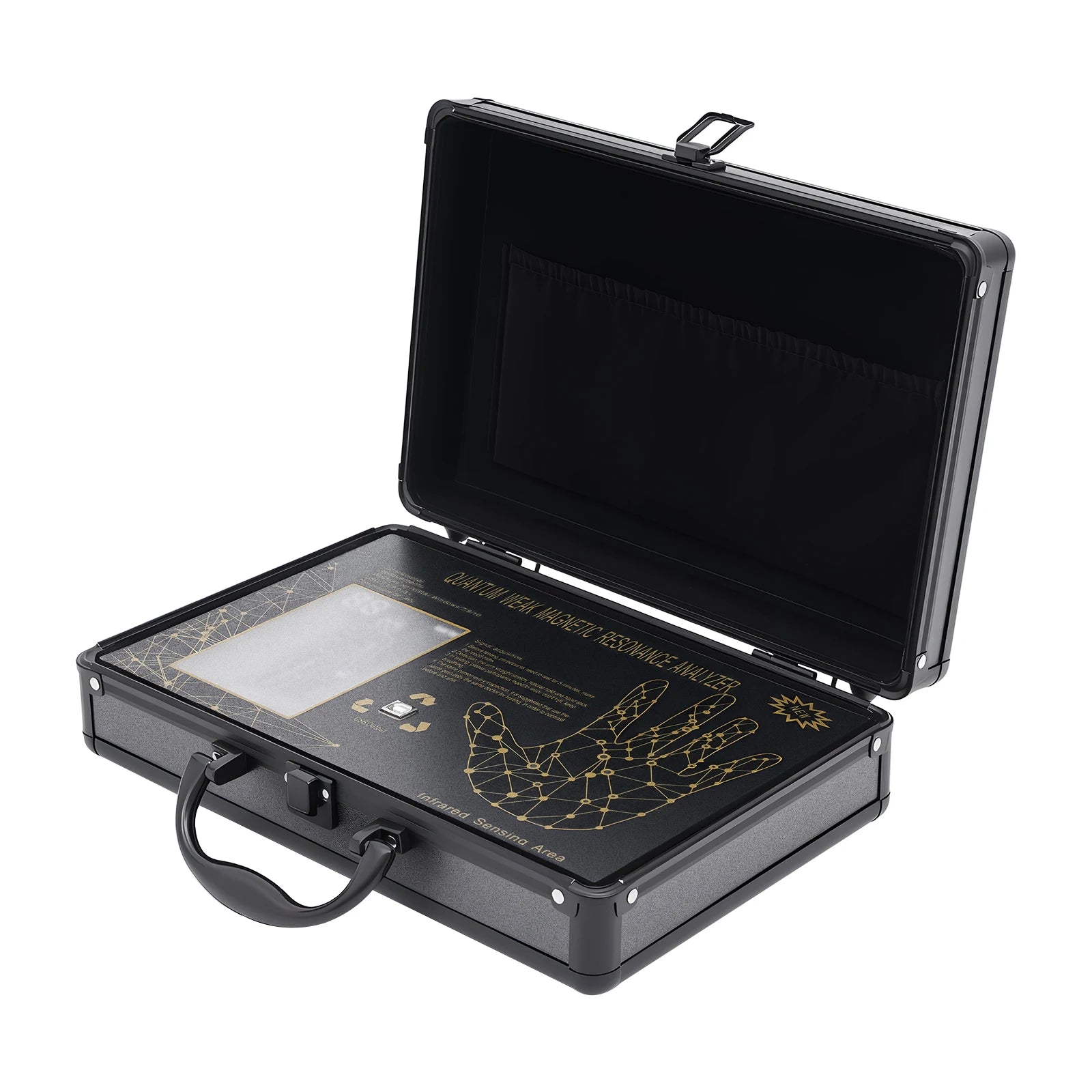 Magnetic Body Health Analysis Assistant